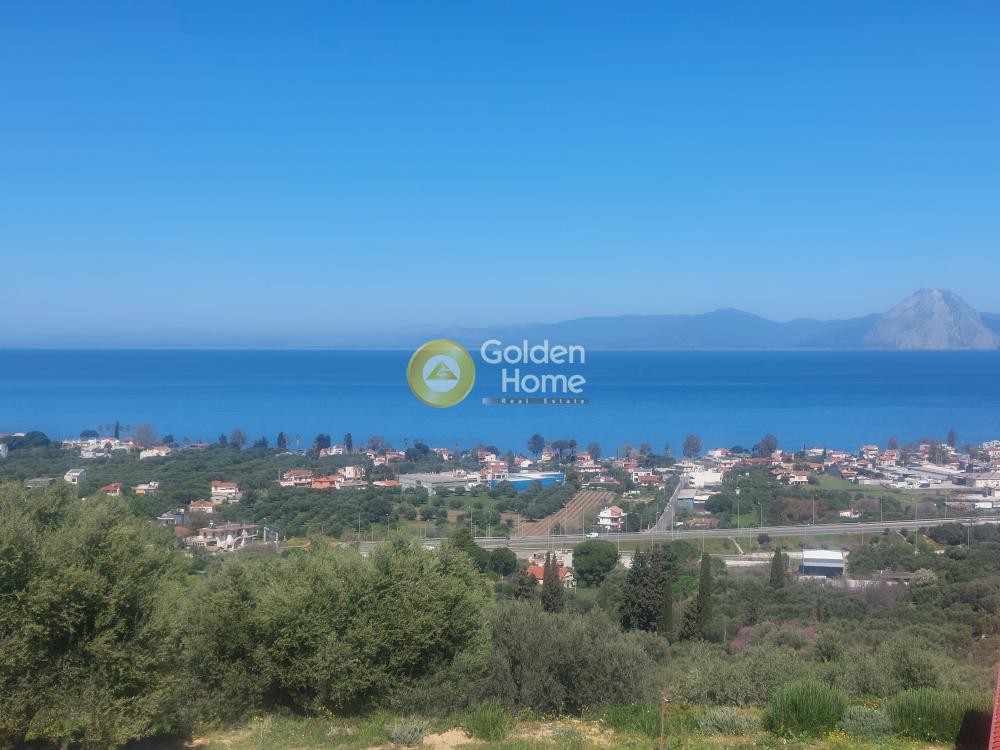 Οικόπεδο 2.426 τ.μ. προς πώληση, Μιντιλόγλι