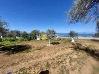 Οικόπεδο 2.426 τ.μ. προς πώληση, Μιντιλόγλι-thumb-4