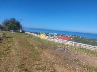Οικόπεδο 2.426 τ.μ. προς πώληση, Μιντιλόγλι-thumb-2