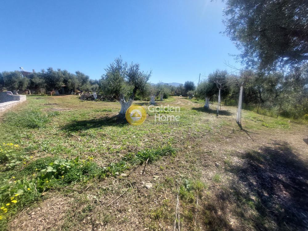 Οικόπεδο 2.426 τ.μ. προς πώληση, Μιντιλόγλι