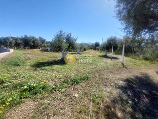 Οικόπεδο 2.426 τ.μ. προς πώληση, Μιντιλόγλι-thumb-3