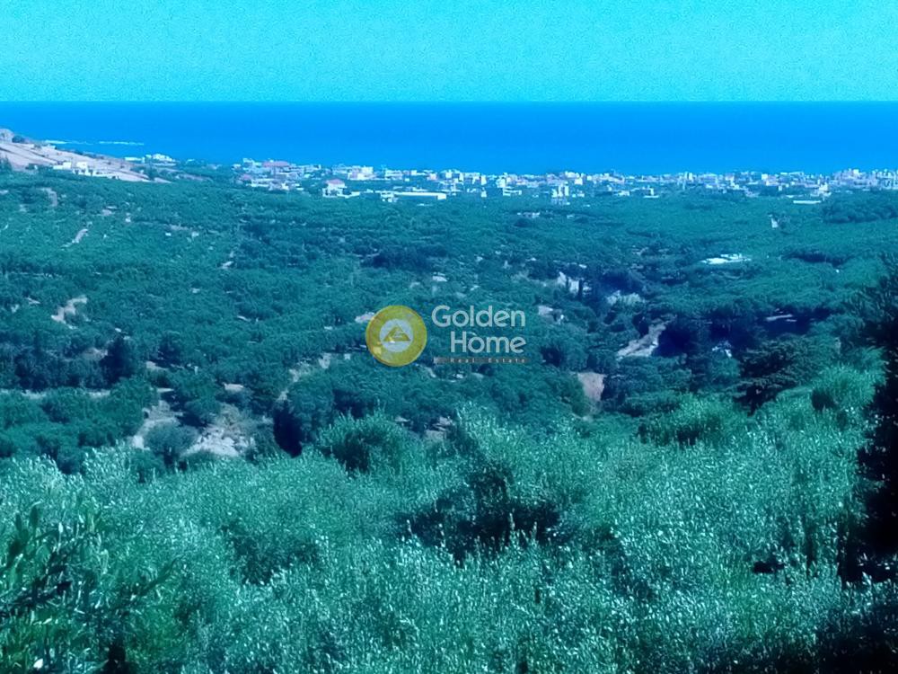 Οικόπεδο 11.210 τ.μ. προς πώληση, Κουνουπίτσα Κισσάμου