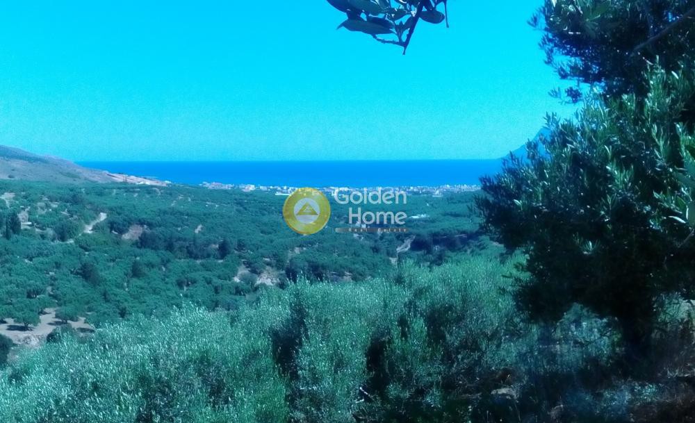 Οικόπεδο 11.210 τ.μ. προς πώληση, Κουνουπίτσα Κισσάμου