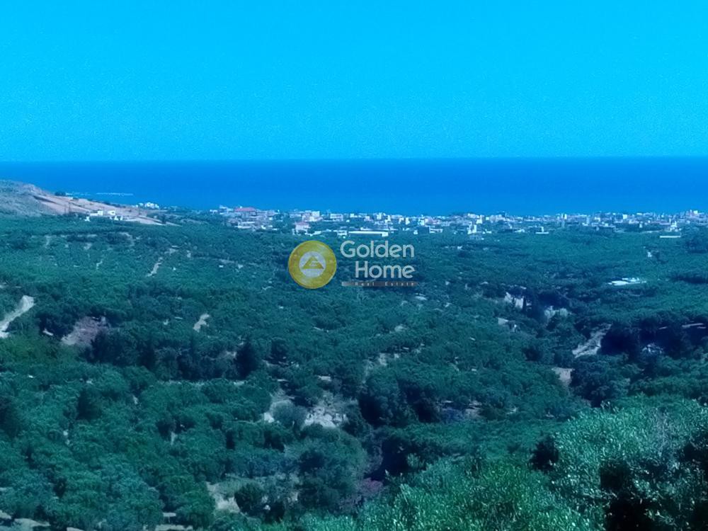Οικόπεδο 11.210 τ.μ. προς πώληση, Κουνουπίτσα Κισσάμου