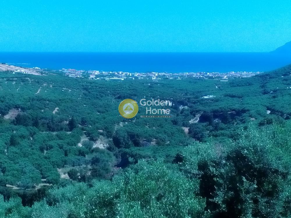 Οικόπεδο 11.210 τ.μ. προς πώληση, Κουνουπίτσα Κισσάμου