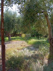 Οικόπεδο 960 τ.μ. για πώληση, Φωκίδα, Δελφοί-thumb-3
