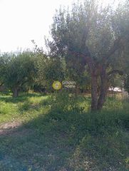 Οικόπεδο 960 τ.μ. για πώληση, Φωκίδα, Δελφοί-thumb-5
