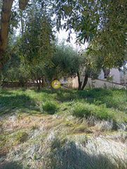 Οικόπεδο 960 τ.μ. για πώληση, Φωκίδα, Δελφοί-thumb-2