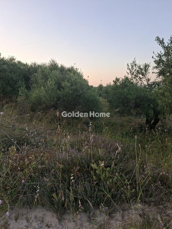 Οικόπεδο 5.115 τ.μ. προς ενοικίαση, Ν. Ηρακλείου, Αρκαλοχώρι