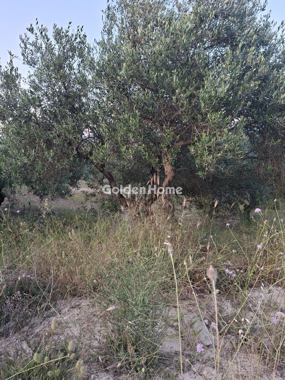 Οικόπεδο 5.115 τ.μ. προς ενοικίαση, Ν. Ηρακλείου, Αρκαλοχώρι