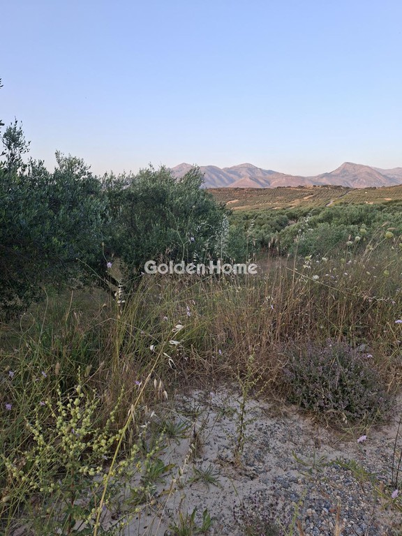 Οικόπεδο 5.115 τ.μ. προς ενοικίαση, Ν. Ηρακλείου, Αρκαλοχώρι