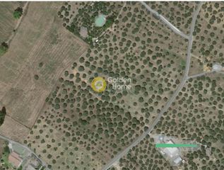 Οικόπεδο 4.345 τ.μ. για πώληση
