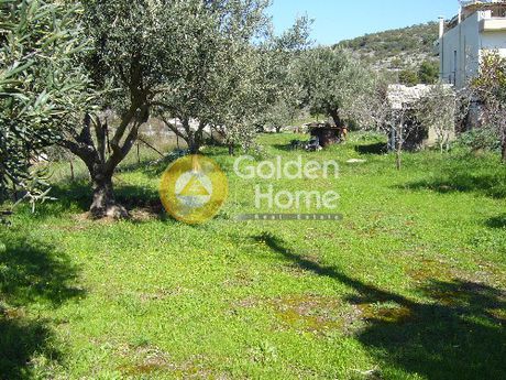Αγροτεμάχια 652 τ.μ. για πώληση