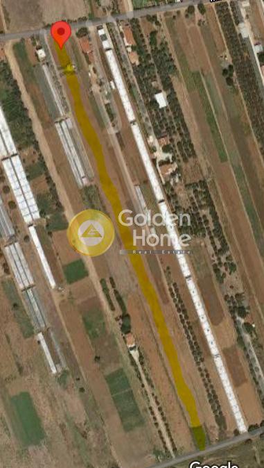 Αγροτεμάχια 10.570 τ.μ. προς ενοικίαση, Αθήνα - Ανατολικά Προάστια, Μαραθώνας