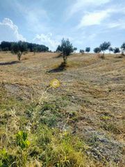Οικόπεδο 8.430 τ.μ. για πώληση