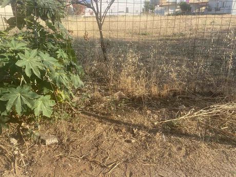 Land plot 400sqm for sale-Chania