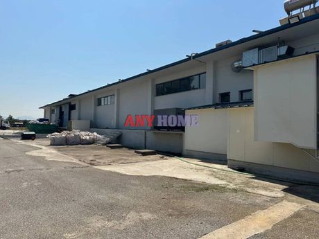 Βιοτεχνικός χώρος 2.400τ.μ. για ενοικίαση-Εχέδωρος » Σίνδος