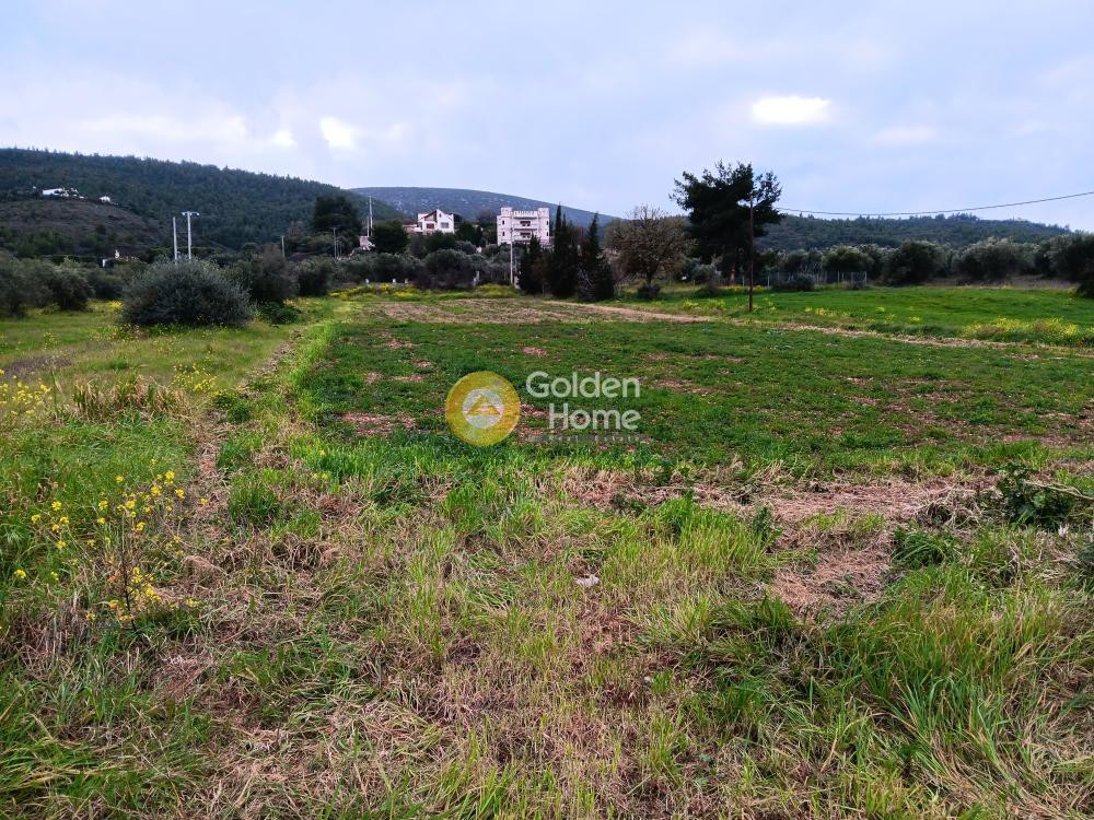 Οικόπεδο 4.050 τ.μ. προς ενοικίαση, Αθήνα - Ανατολικά Προάστια, Γραμματικό