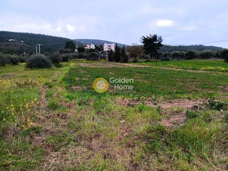 Οικόπεδο 4.050 τ.μ. προς ενοικίαση
