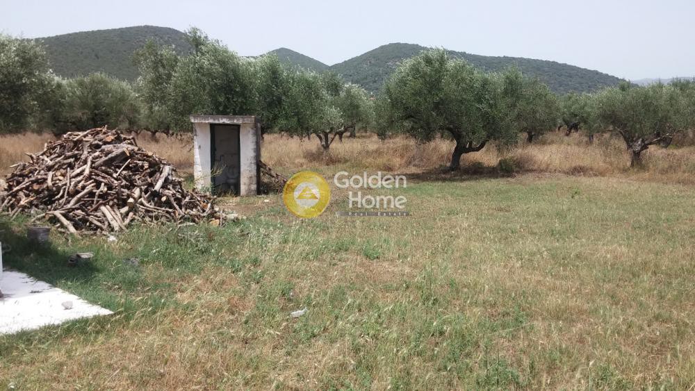 Μονοκατοικία 120 τ.μ. προς πώληση, Πανόραμα Ζαχάρως