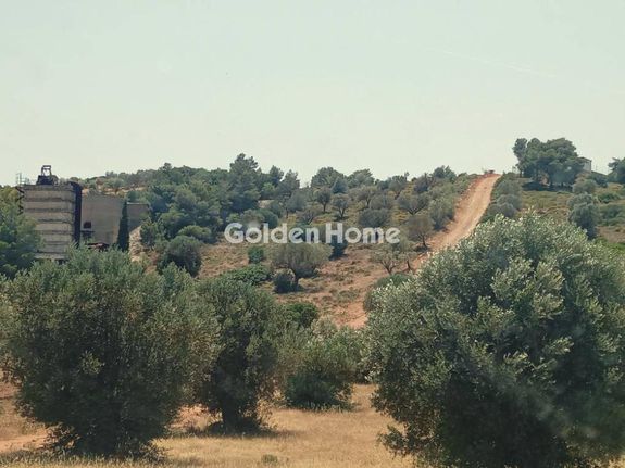 Land plot 7.300 sqm for sale, Rest Of Attica, Kouvaras