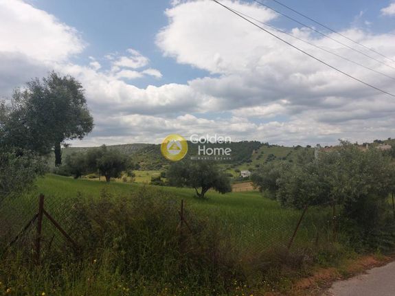 Οικόπεδο 1.000 τ.μ. για πώληση, Αργολίδα, Κρανίδι