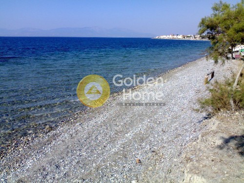 Οικόπεδο 2.871 τ.μ. προς πώληση, Λυγιά Ευρωστίνης