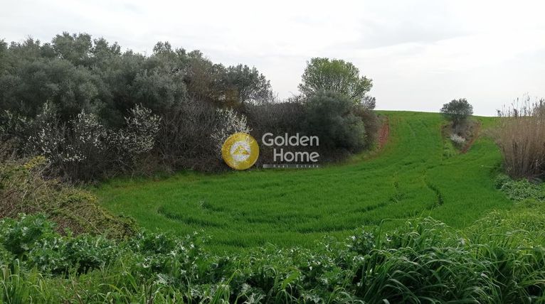 Land plot 2.669 sqm for sale, Thessaloniki - Suburbs, Michaniona