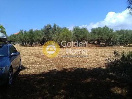 Οικόπεδο 13.000τ.μ. για πώληση-Γαργαλιάνοι » Μαραθόπολη
