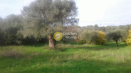 Αγροτεμάχια 4.061τ.μ. για πώληση-Γαργαλιάνοι » Τραγάνα