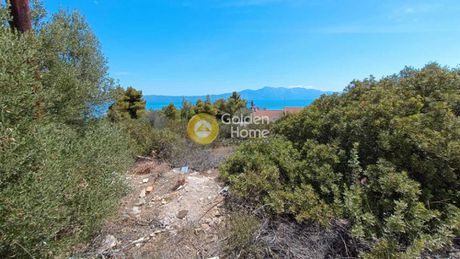 Οικόπεδο 1.042τ.μ. για πώληση-Μαλεσίνα » Θεολόγος