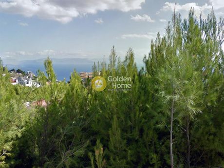 Οικόπεδο 521τ.μ. για πώληση-Νέα μάκρη » Νέος βουτζάς