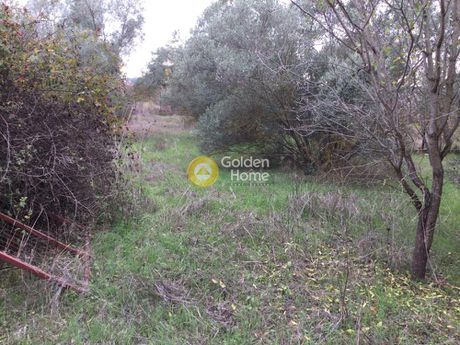 Αγροτεμάχια 4.794τ.μ. για πώληση-Θέρμη » Νέο ρύσιο