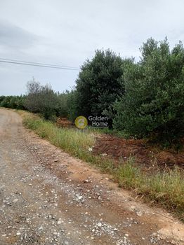 Αγροτεμάχια 800τ.μ. για πώληση-Τυμπάκι » Κέντρο