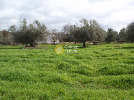 Οικόπεδο 3.723τ.μ. για πώληση-Λάρισσος » Καγκάδι