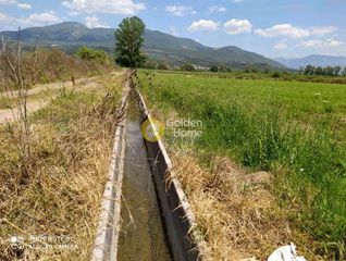 Οικόπεδο 8.000 τ.μ. πρός πώληση, Μεσσηνία, Άριο-thumb-2
