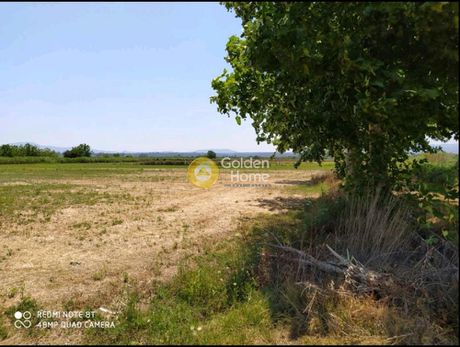 Land plot 8.000sqm for sale-Ario » Center