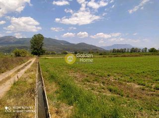 Οικόπεδο 8.000 τ.μ. πρός πώληση, Μεσσηνία, Άριο-thumb-3
