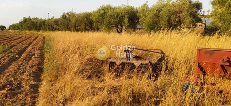 Parcel 10.500sqm for sale-Larissos » Limanaki