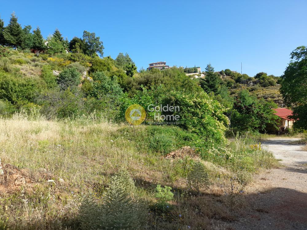 Οικόπεδο 576 τ.μ. προς πώληση, Μερτικαίικα