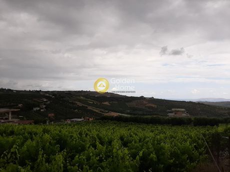 Land plot 2.500sqm for sale-Heraclion Cretes » Silamos