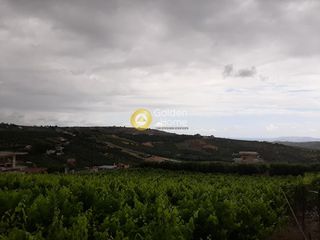 Οικόπεδο 2.500 τ.μ. για πώληση