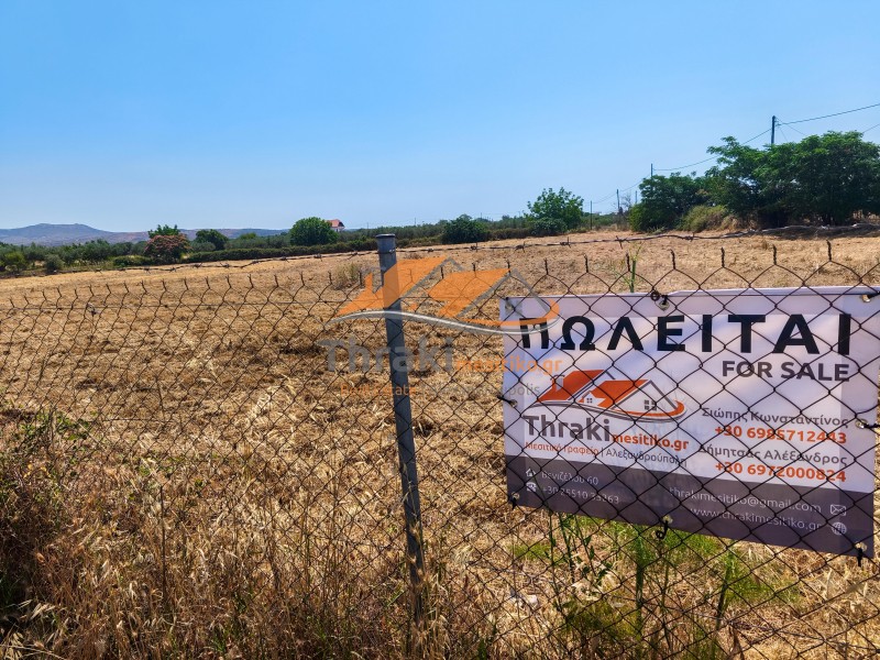 Αγροτεμάχια 6.600 τ.μ. προς πώληση, Δίκελλα