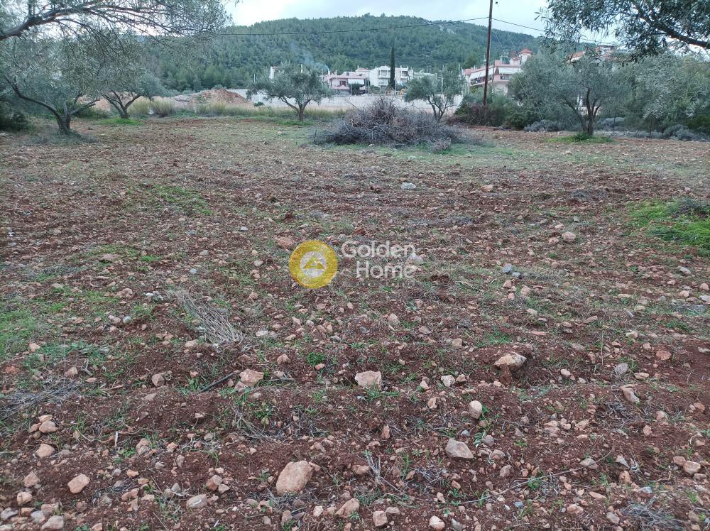 Οικόπεδο 400 τ.μ. προς πώληση, Δροσιά Ανθηδώνος
