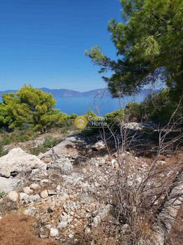 Οικόπεδο 1.029τ.μ. για πώληση-Μαλεσίνα » Θεολόγος