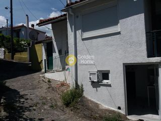Μονοκατοικία 40 τ.μ. για πώληση, Αρκαδία, Μαντίνεια-thumb-13