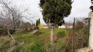 Οικόπεδο 1.600 τ.μ. για πώληση
