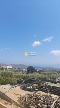 Οικόπεδο 2.600τ.μ. για πώληση-Άγιος νικόλαος » Επάνω ελούντα