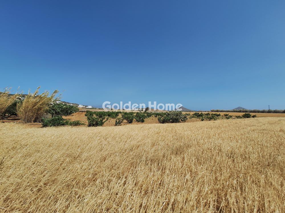 Αγροτεμάχια 21.731 τ.μ. προς πώληση, Μονή Αγίου Αντωνίου