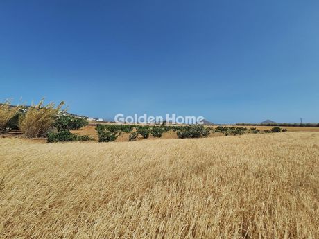 Αγροτεμάχια 21.731 τ.μ. για πώληση